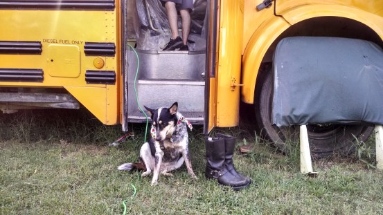 IMG_20140628_165648748_HDR