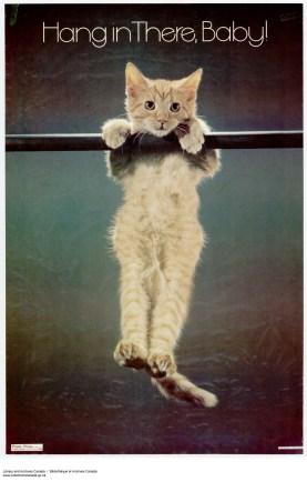 Historical Note: Kitten athletics were a highly popular and elite sport in the 1970's.