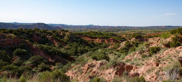 13517626_10100659379180796_3332733739517585351_o