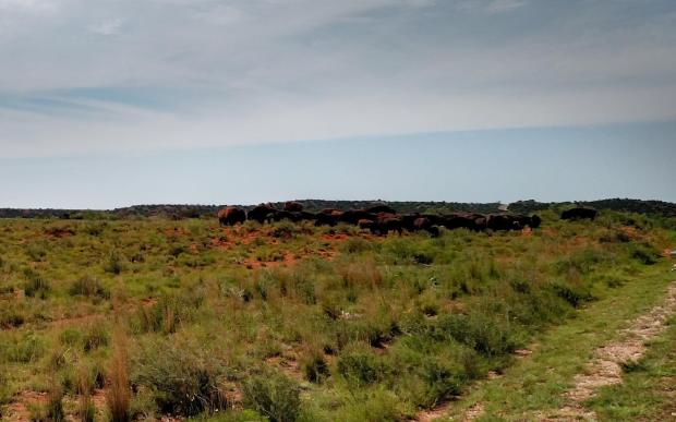 13522775_10100659447967946_5498147473588200889_o