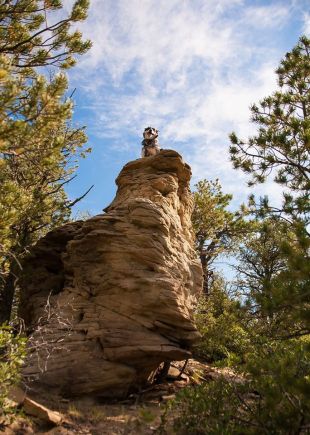 13558677_10100661404477086_8721398356413889044_o