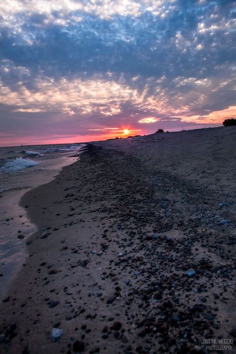 14137977_255856158146633_607271090333606167_o