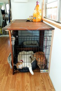 img_20161018_142331712