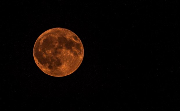 Harvest Moon