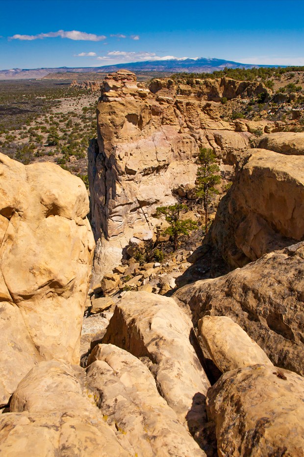 El Malpais Sandstone Bluffs Overlook New Mexico