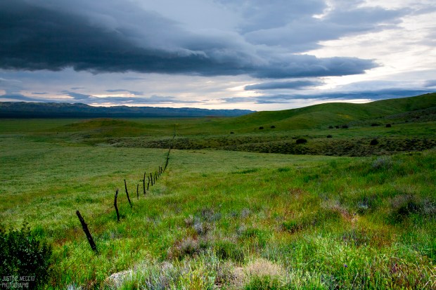 Carrizo-Plain-National-Monument-Hiking