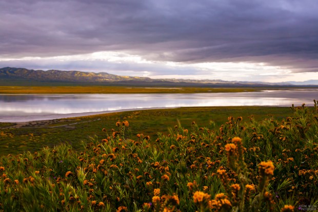 Soda-Lake-Carrizo-Plain-CA