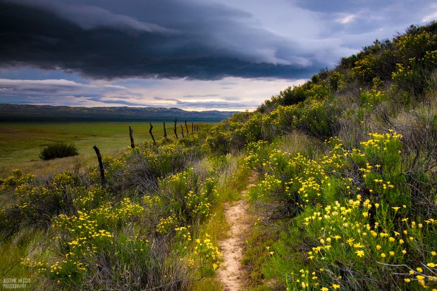 Carrizo-Plain-CA-Hiking