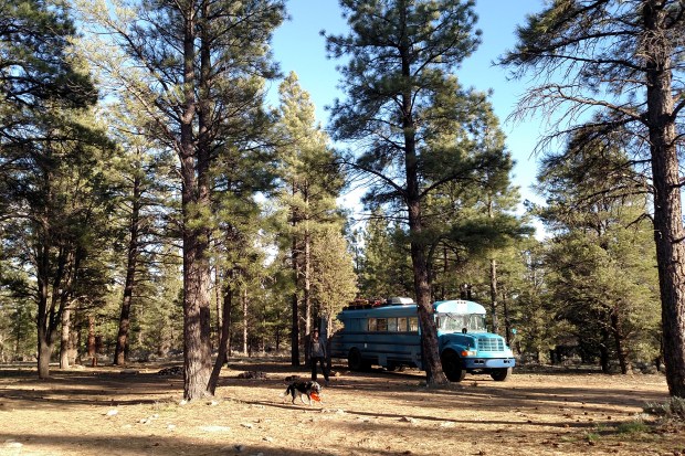 free camping at south rim of grand canyon