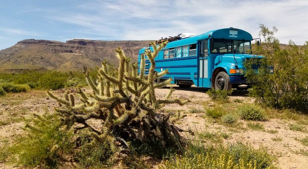 Dispersed camping Mojave National Preserve