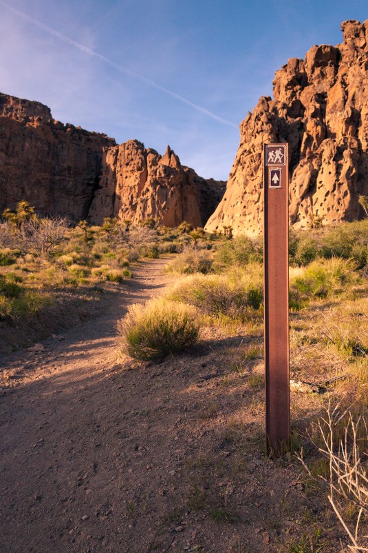 Mojave Desert Rings Loop Trail Hiking