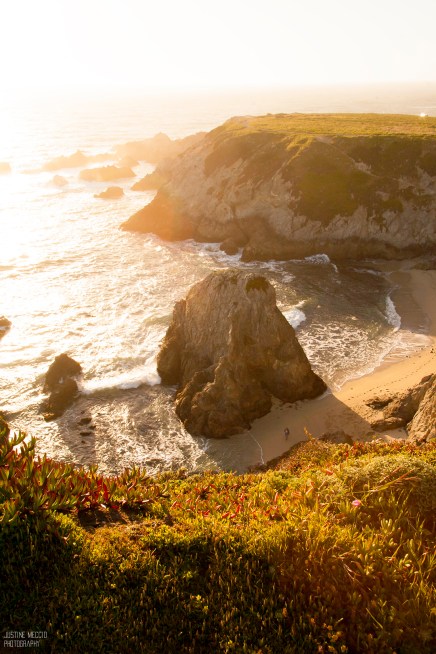 Bodega Headlands at Sunset 