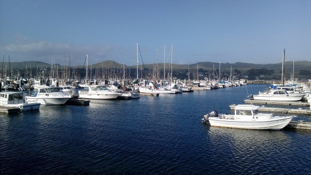 Bodega Bay Marina