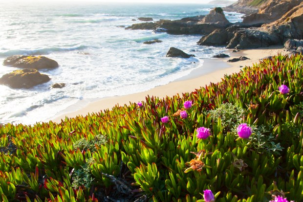 Bodega-Bay-CA-Why-We-Travel-we-got-schooled-bus