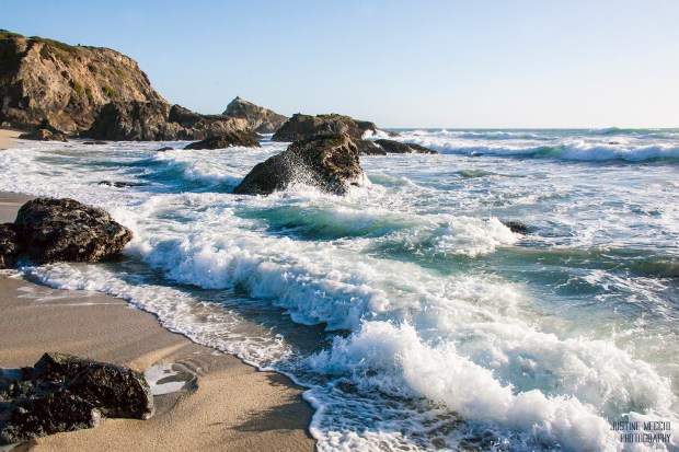 Bodega Headlands Beach Bodega Bay CA