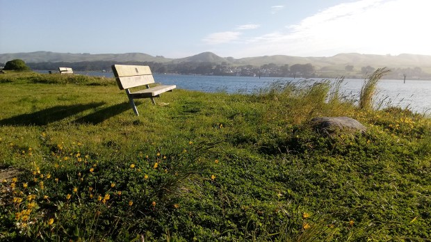 Westside Regional Park Sonoma County