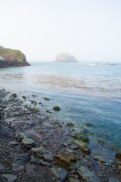 Van Damme State Park Beach CA