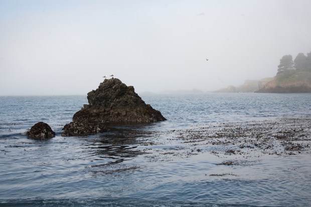 Van Damme State Park Beach CA