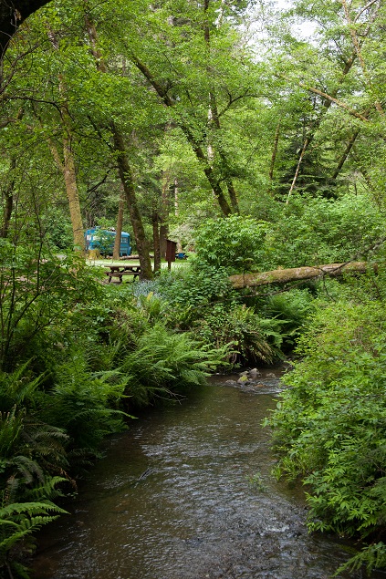Camping at Van Damme State Park