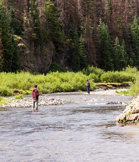 Conejos River Fishing