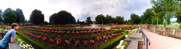 International Test Rose Garden Portland OR