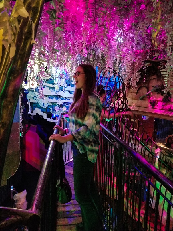 meow wolf